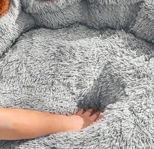 5fde163a3025d0a975b829f4d331d0c1.jpg